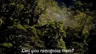 The Eyes Of Desolation - Crawling Angel's Song HD (Video Lyrics)
