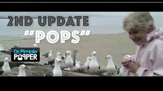 Update No. 2 for 