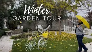 Slowing Down in the Winter Garden: A Peaceful Tour of My Favorite Cold-Weather Beauties