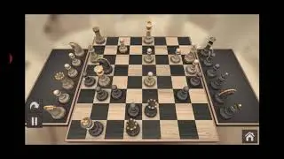 REAL CHESS- LEISURE TIME