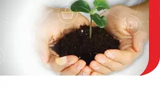 Corporate Social Responsibility