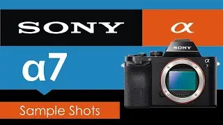 Original Sony A7 in 2021 - Sample Images