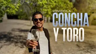 Tour e degustação na Concha y Toro | A maior e mais admirada Vinícola do Chile