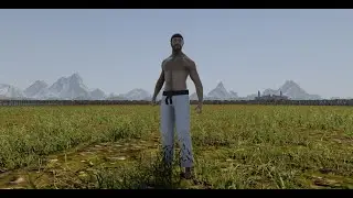 CAN CHUCK NORRIS DIE? - UEBS 2