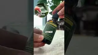 #mullein #mulleinleaf fresh breathing in 5 seconds #supplements