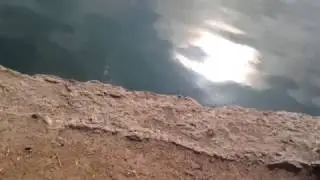 Peaceful & Comforting Nature Video - Water Reflection