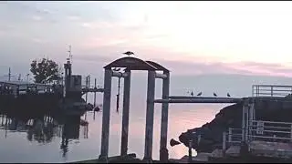 Чайка и рыба, корабль возвращается, Эйн Гев __ The Seagull and the Fish, The Boat Returns, Ein Gev