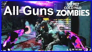 All Guns Fully Upgraded in Black Ops: Cold War Zombies