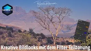 Luminar 4 - Kreative Bildlooks mit dem Filter Teiltonung