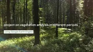 Interactive NDVI Analysis Tool | Explore Vegetation Change Over Time