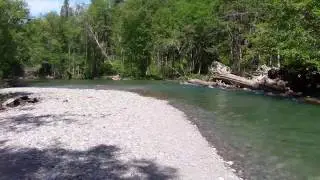 Down at the Ohanapecosh River at Mt. Rainier National Park