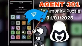 1/01/2025 - Agent 301 Puzzle today | Community Puzzle Agent 301 solved