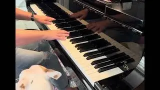 Starlight Serenade by Julie Knerr Hague (Elementary 4 NFMC 2024-2028)