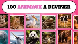100 Animals to Guess 🐥🐆 Animal Quiz