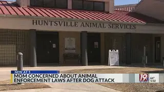 Mom Concerned About Animal Enforcement Laws After Dog Attack | Nov. 20, 2025 | News 19 at 5:00