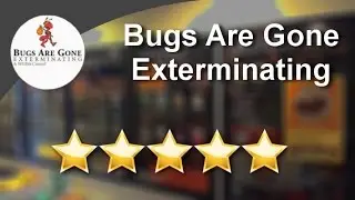 Bugs Are Gone Exterminating Brooklyn Outstanding 5 Star Review by Zahra A.