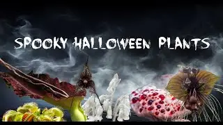 21 Scary Halloween Plants Plus a Shopping List
