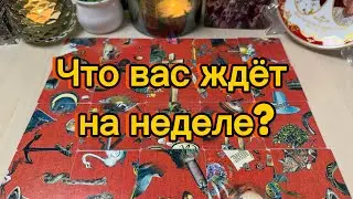 Что вас ждёт в ближайшую неделю? Гадание пасьянс Tarot Reading 