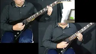 RED HOT CHILI PEPPERS-Otherside-SOLO-(Guitar Cover) Eduardo Meneghetti(me1luca)