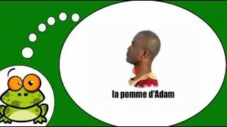 Ik spreek Frans = Het hoofd # 2