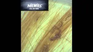 NitWits All In One in Action