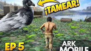 &iexcl;FARMEANDO Y TAMEANDO UN ARGENTAVIS! 🦅🌾 | ARK MOBILE EP. 5