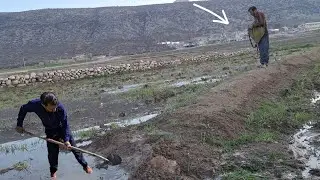 🌾💦 