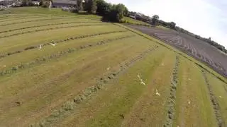 Hoverthings Flip 260 , acro test + crash test