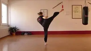 Kickboxen Training