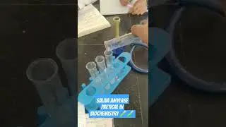 Biochemistry Pratical laboratory 🧫 Saliva amylase 🧪🧪2 sem #pharmacy #medicalstudent #neet🧪🧪🤞🤞🤞
