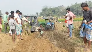 Tractor Stuck in Muddy Village Road | Real Life Rural Struggle & Power Test