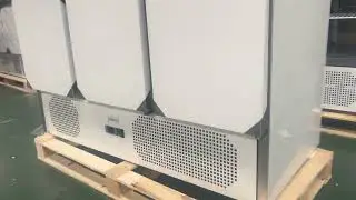 PS300