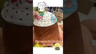 New Target Squishmallow! Soooo cute!!