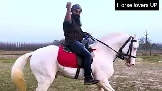 Motivational video for all horse lovers.