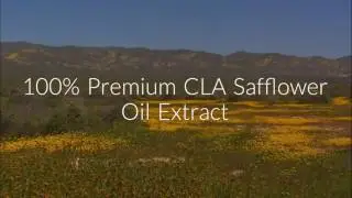 CLA Safflower Oil - Side-effects and Benefits