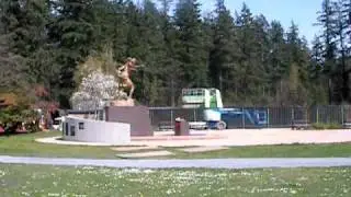 New Moon Pool Set - Drive-By