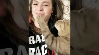 Kitty Can&rsquo;t Get Enough Kisses || ViralHog