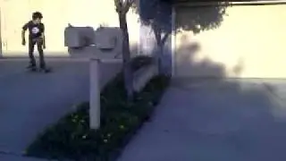 big planter