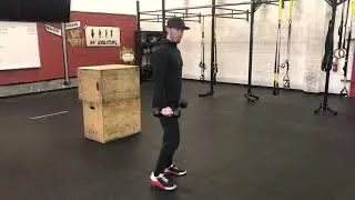Db cheat curls
