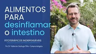 Alimentos naturais para DESINFLAMAR O INTESTINO | Dr. Valdomiro Garbugio Filho