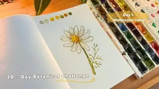 How to Paint a Daisy in Watercolor 🌼| Calm Real-Time Botanical Art | White Nights Watercolor ✨