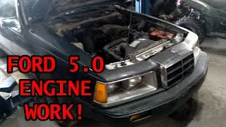 Deep Dive Engine Work - Timing chain - Driving The Cougar EP 4
