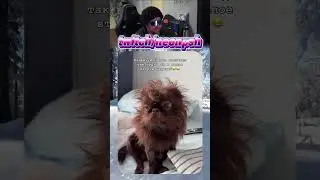 I just couldn't comb my hair! 😤| twitch.tv/neonpsh - giveaways and tournaments every month!