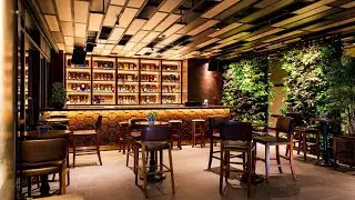 Northern Charm Hotel, Ho Chi Minh City, Vietnam | Travel With Bhumika
