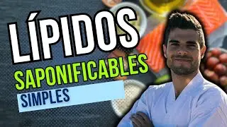 Lípidos saponificables simples
