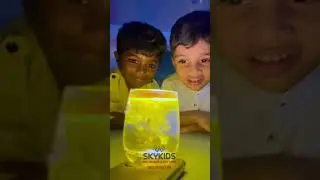 Why Turmeric Glows in Water? | Haldi Reels & the Tyndall Effect Explained