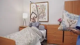 Lumex Bed Trapeze