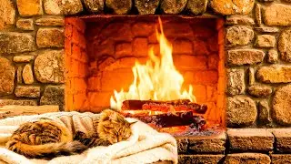 Cozy Fireplace with Cat 🐱🔥 Calm Night Ambience & Fire Sounds