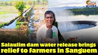 Salaulim dam water release brings relief to farmers in Sanguem.