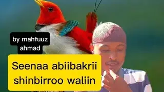 Seenaa Ajaa.ibaa hanga dhumaa...